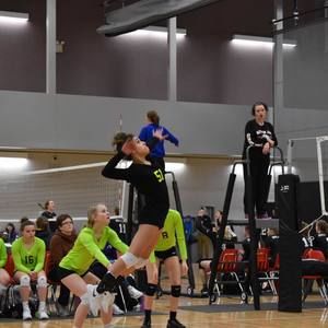 Meet your Posher, Sydney